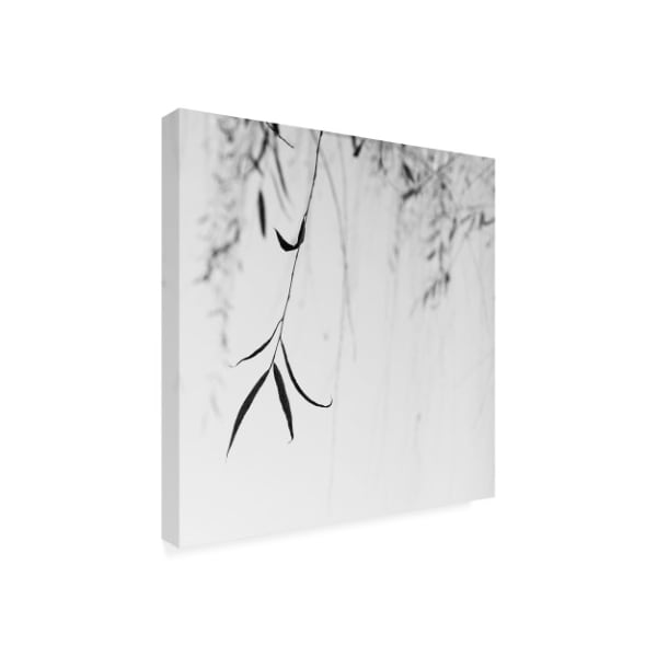 Nicholas Bell 'Willow Print No. 1' Canvas Art,18x18